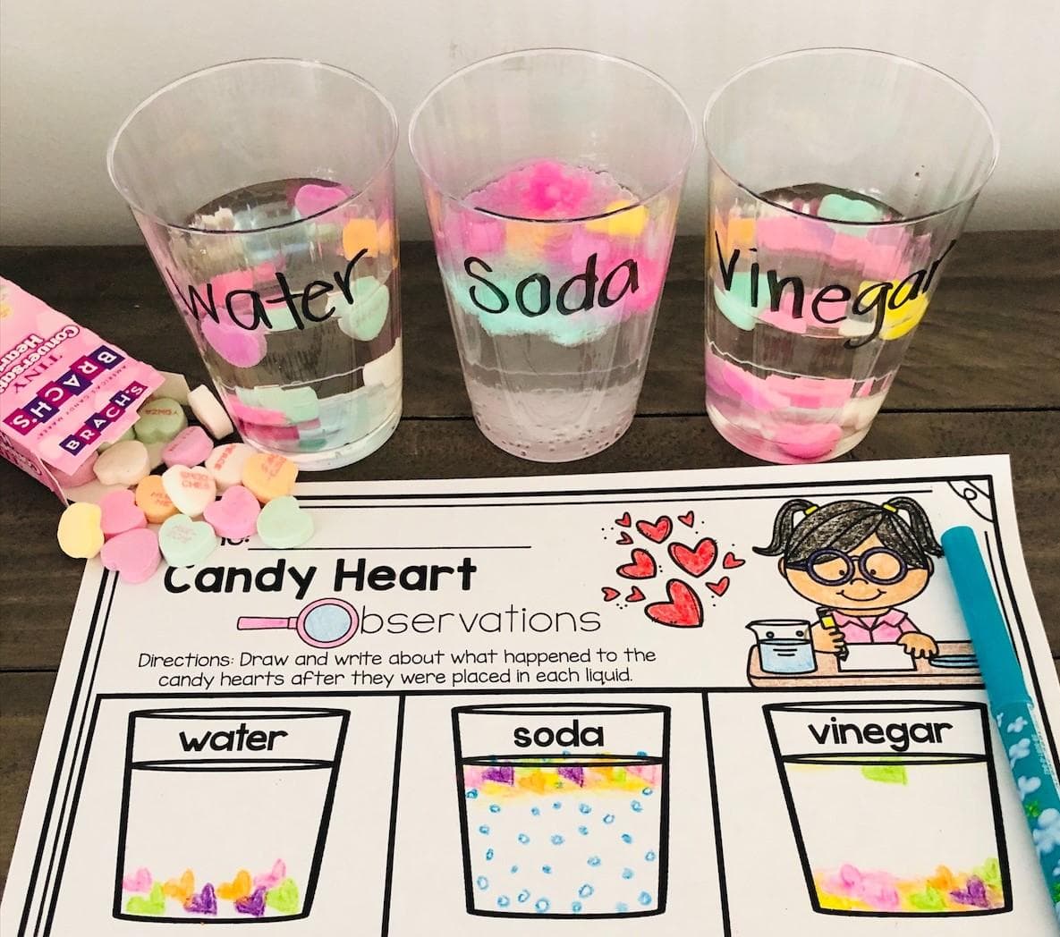 Eat Your ScienceConversation Heart Experiment Acorn